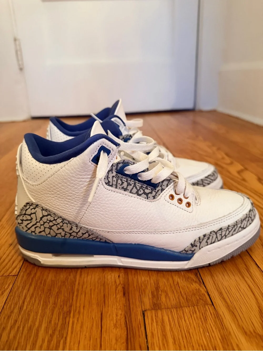 Youth Jordan 3 True Blue